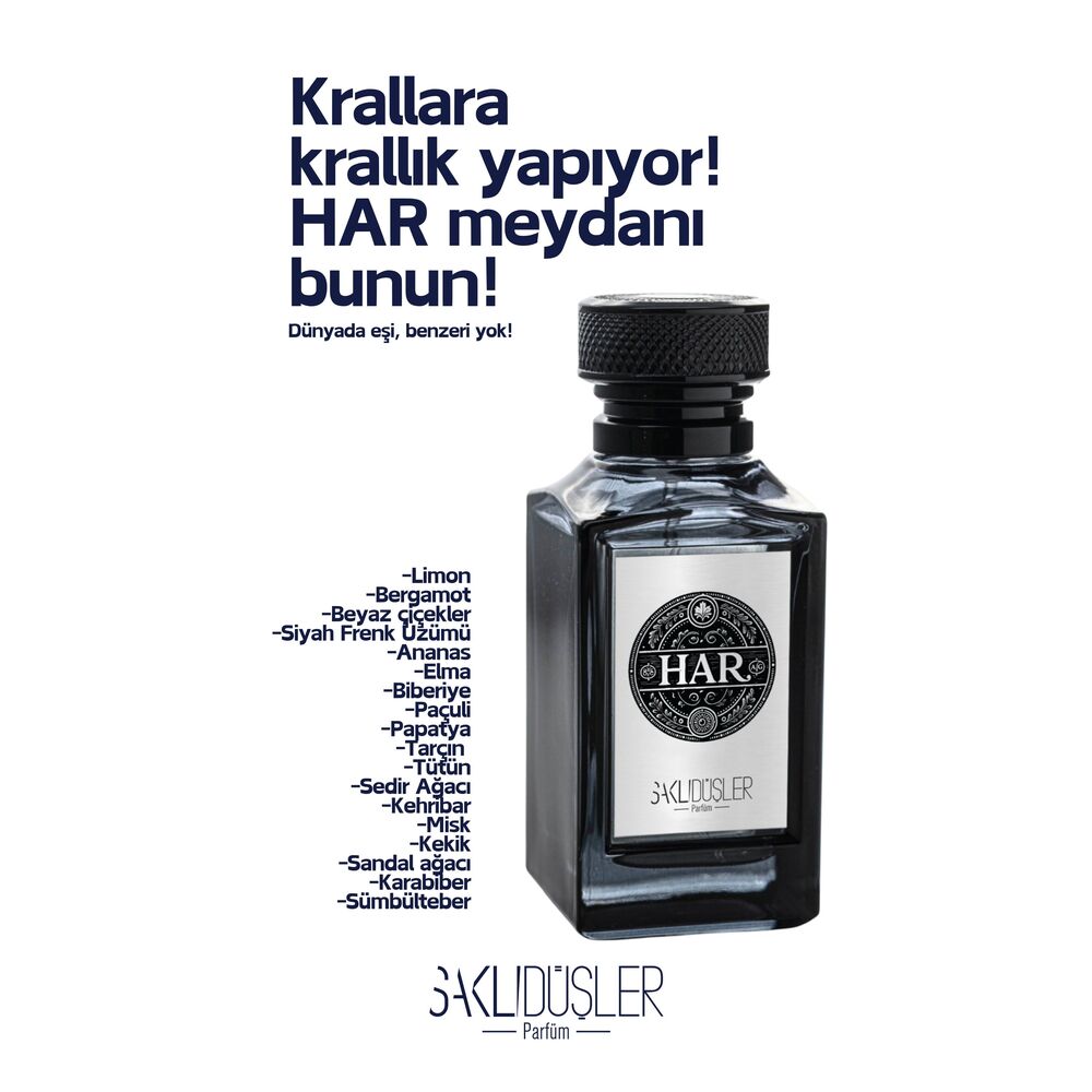 SaklıDüşler HAR / 