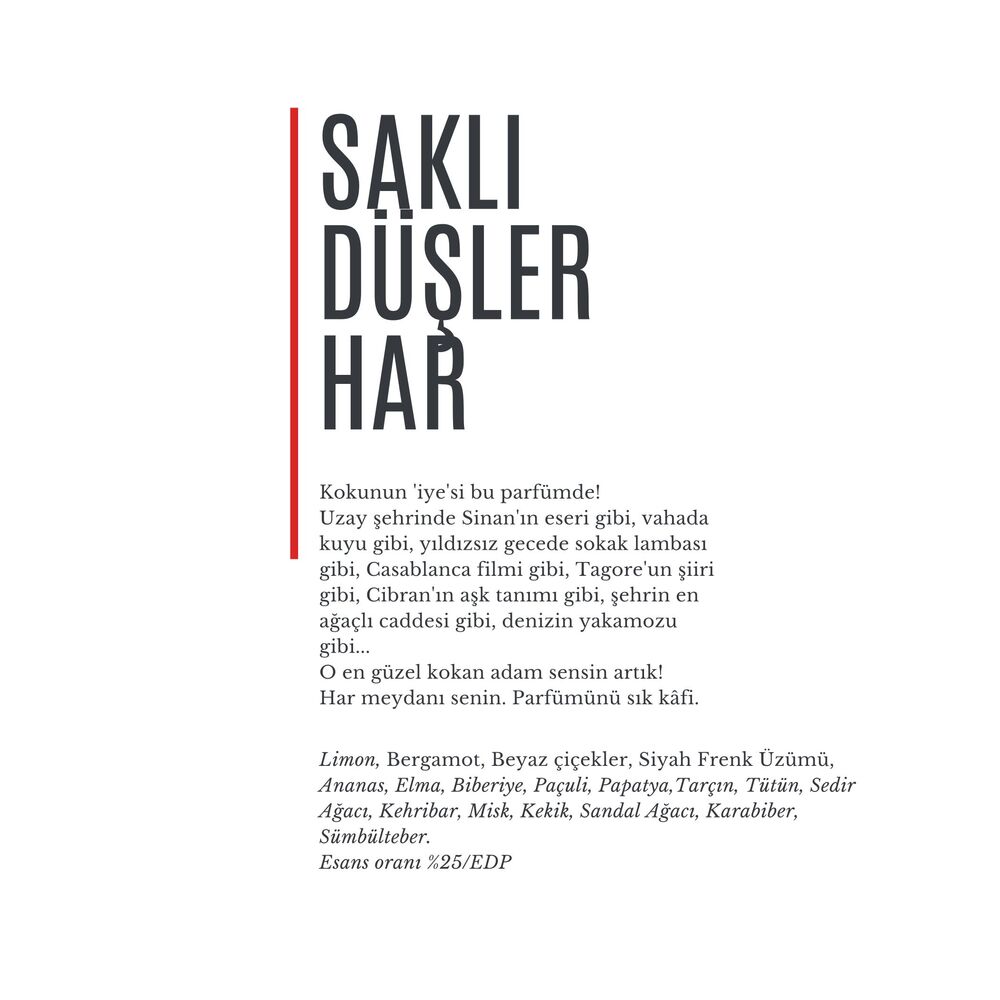 SaklıDüşler HAR / 