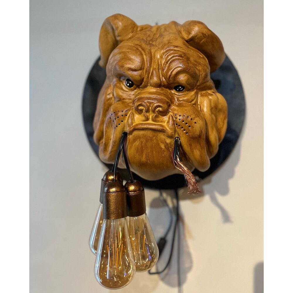 Bulldog Aydınlatma
