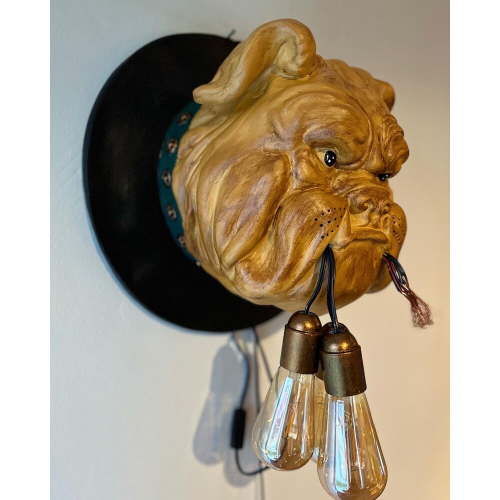 Bulldog Aydınlatma