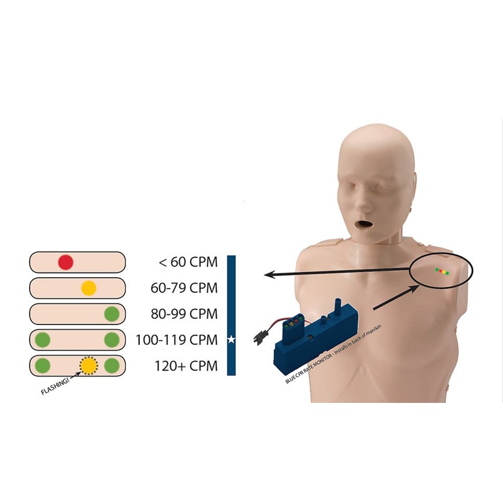 PRESTAN CPR Maketi Aile Seti