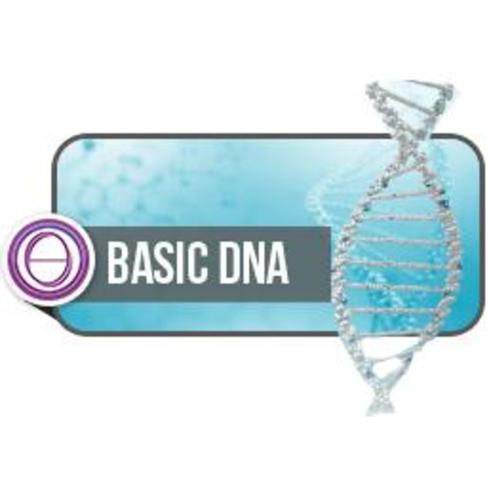 ThetaHealing Basic DNA