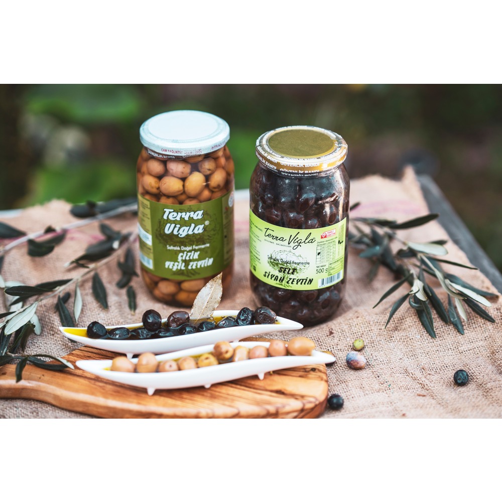 Terra Vigla Çizik Yeşil Zeytin ve Sele Siyah Zeytin 