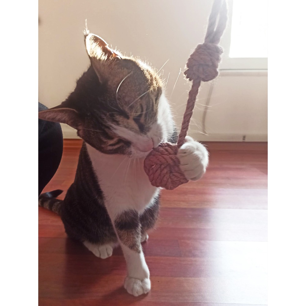 Kedi/Köpek İpli Oyun Topu