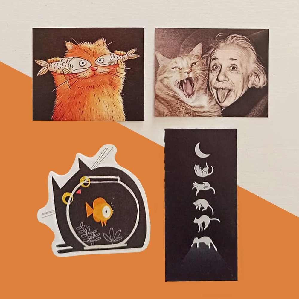 Kedi Sticker Seti 1
