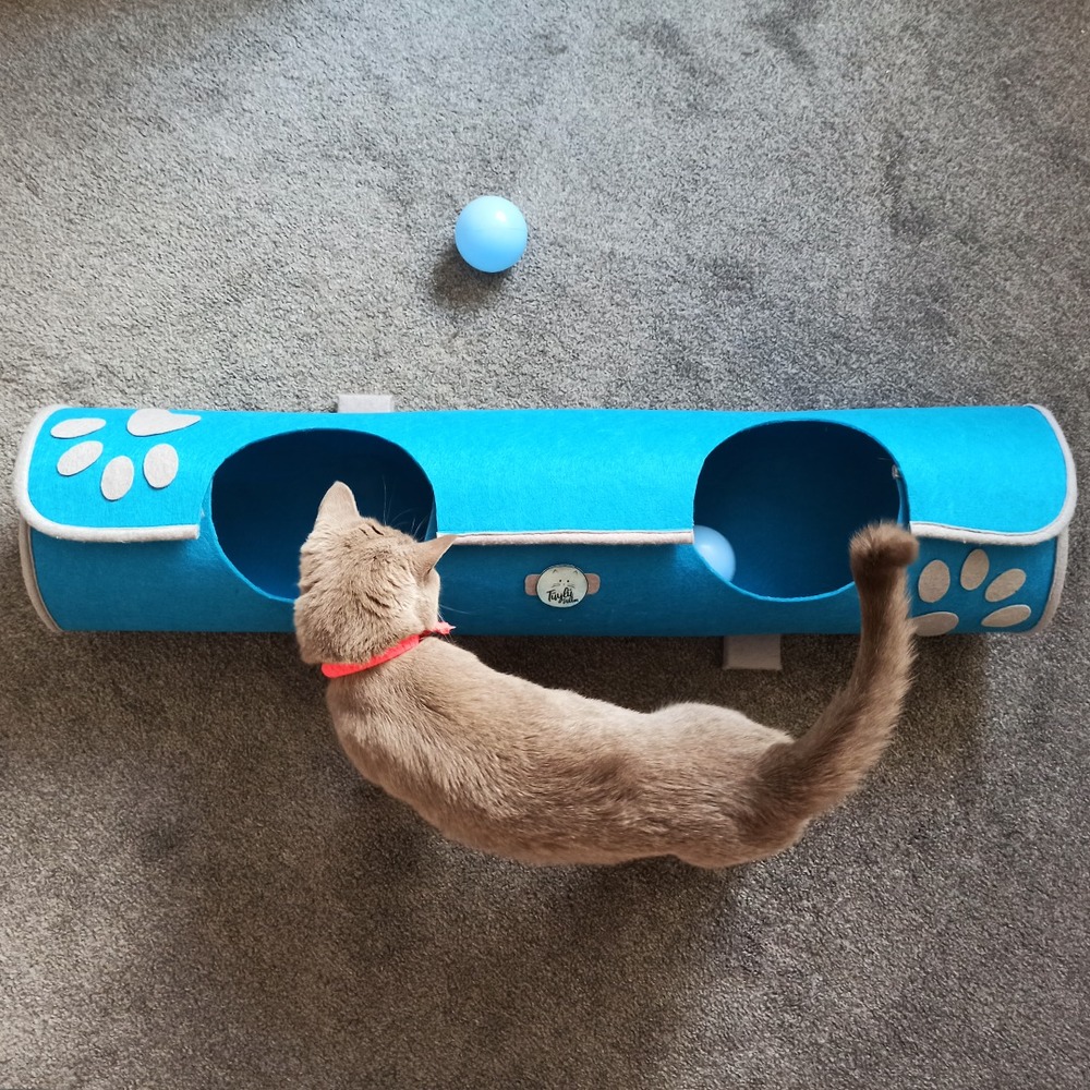 Kedi Tüneli