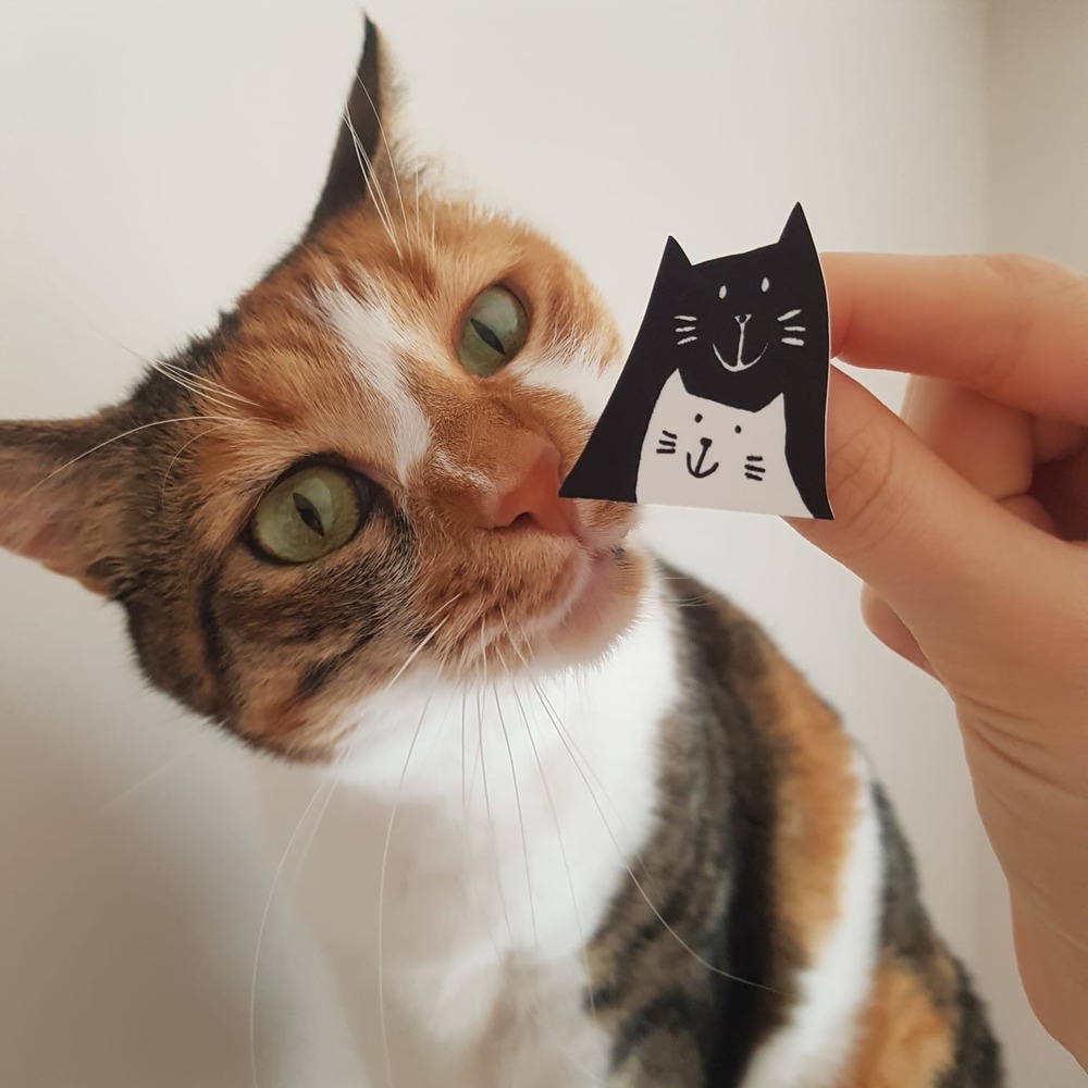 Siyah Beyaz Kedi Broş