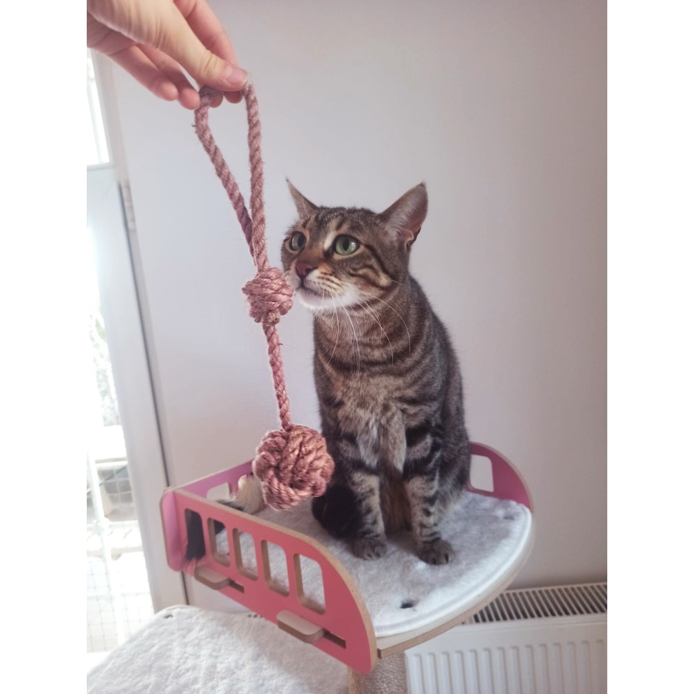 Kedi/Köpek İpli Oyun Topu