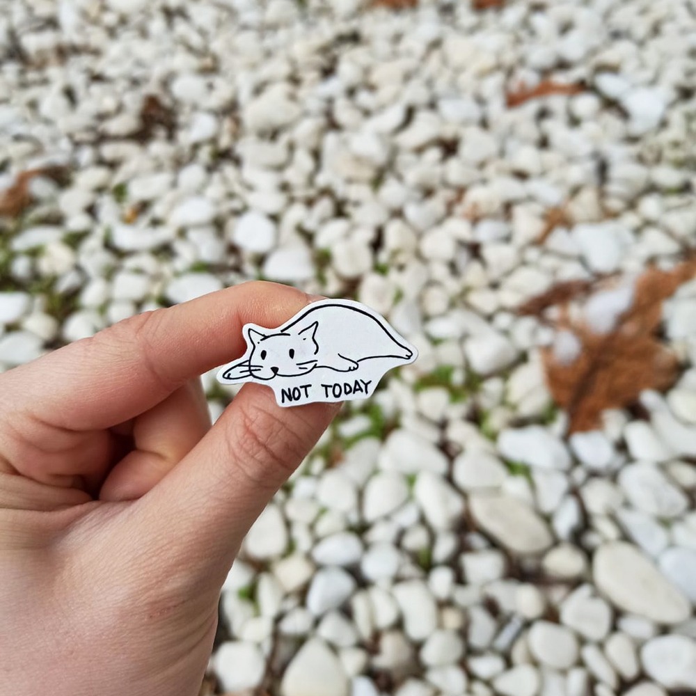 Kedi Broş