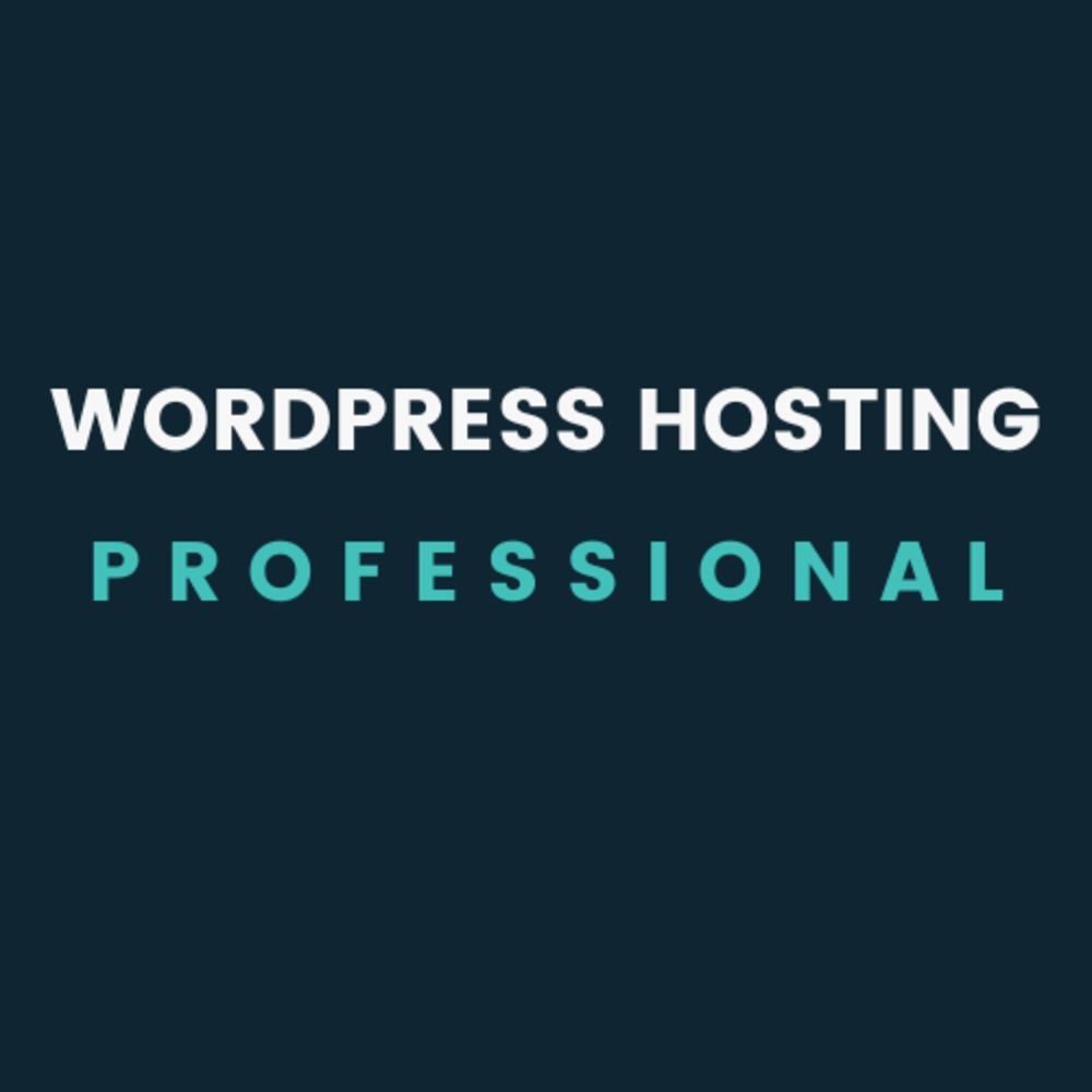 WordPress Hosting | Proffesional