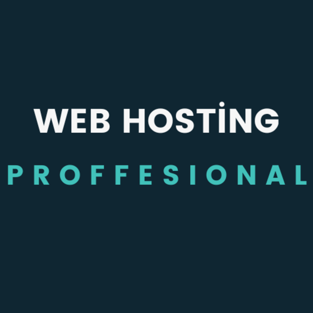 Web Hosting | Proffesional