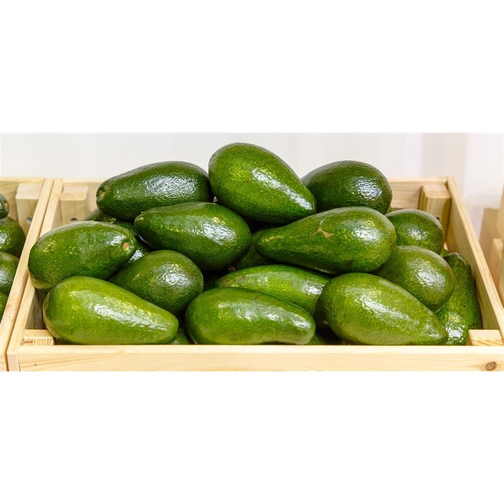 Aylık 10'Lu Taze Avokado Paketi