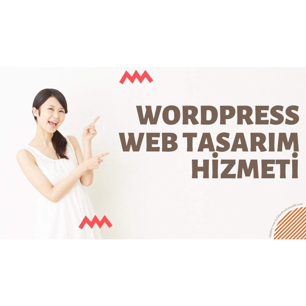 Wordpress Web Site Kurulum Hizmeti