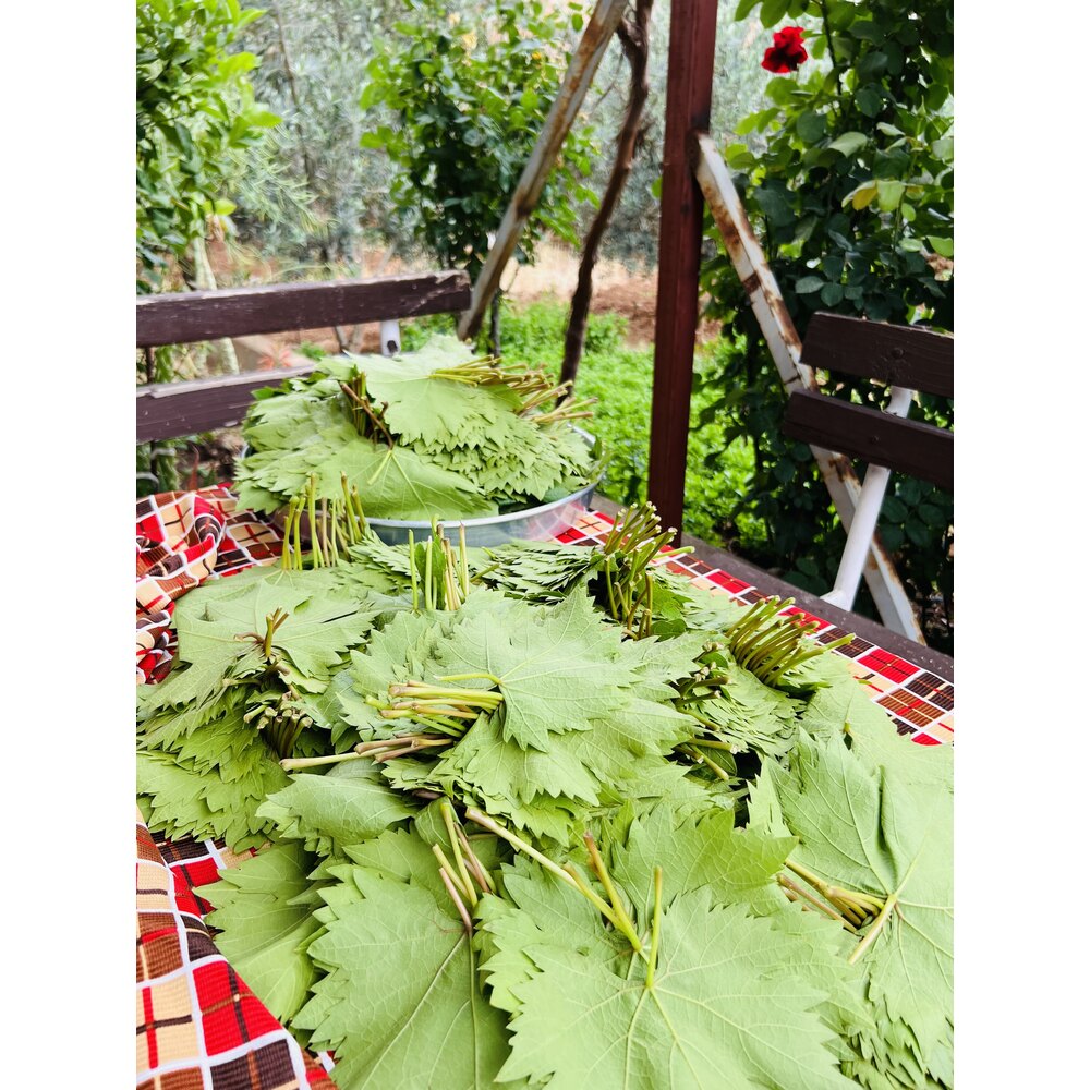 SALAMURA SARMALIK YAPRAK NET 2.800 GR 