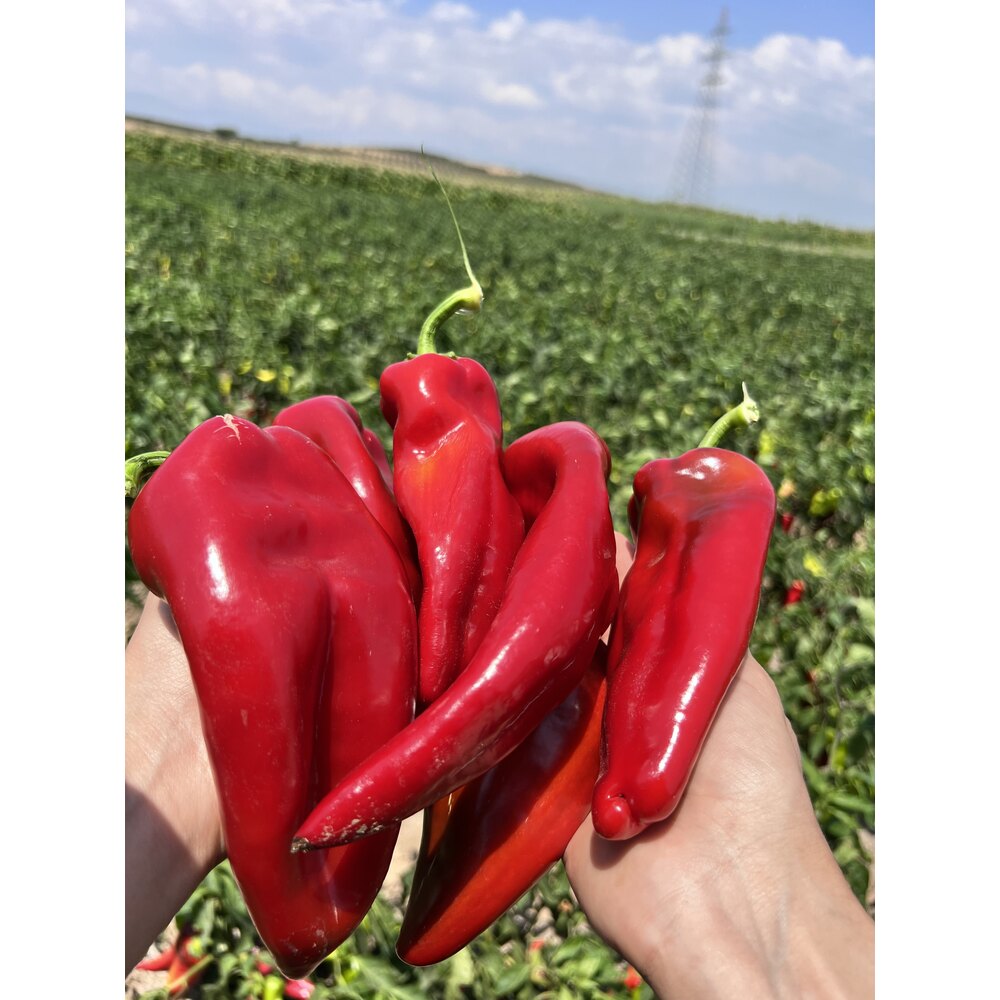 TATLI BİBER SALÇASI 1.KG 