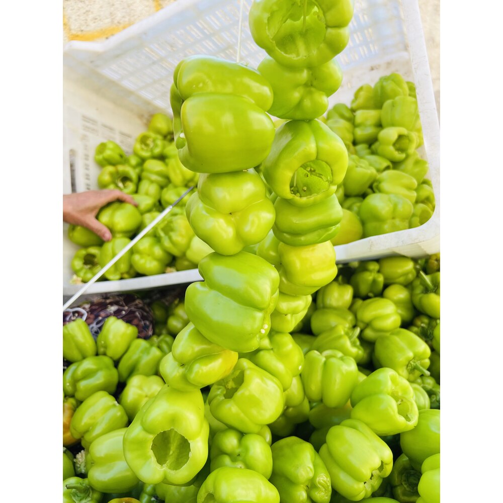 ACI BİBER KURU DOLMA 