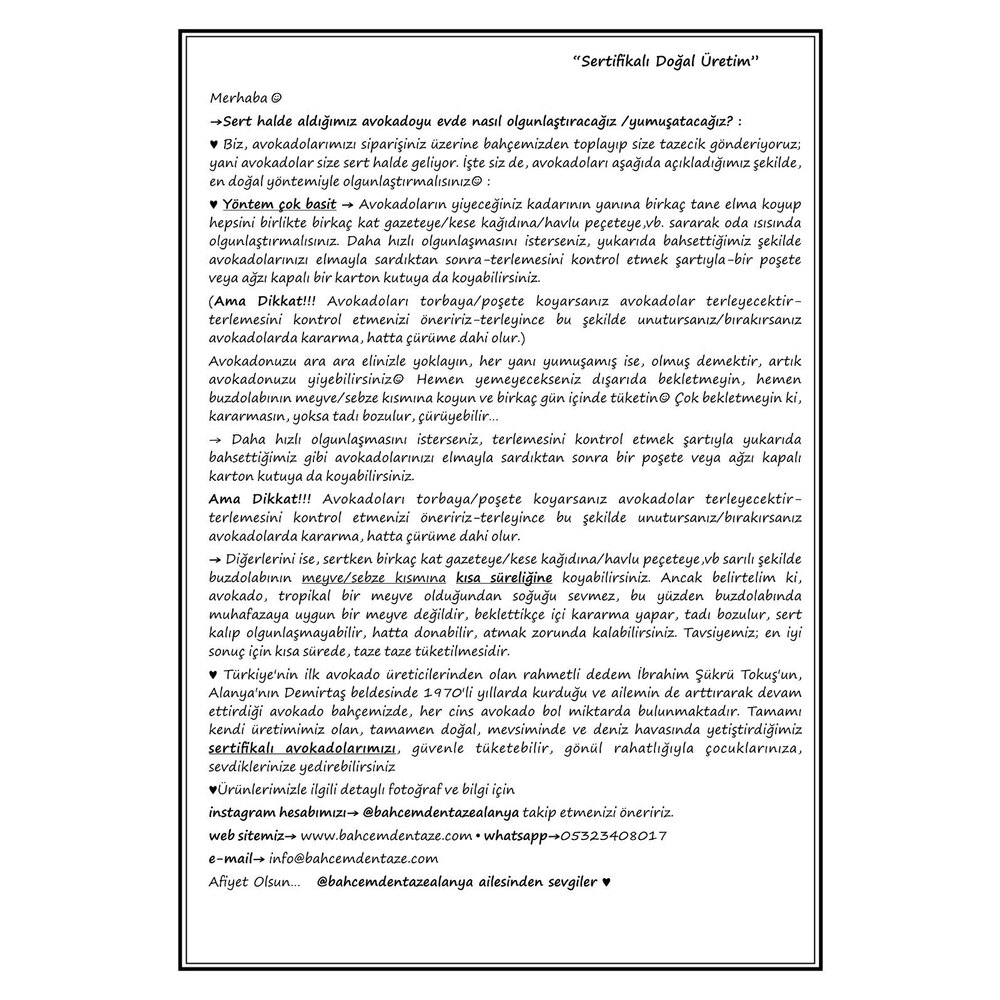 Fuerte Avokado (10 ADET)