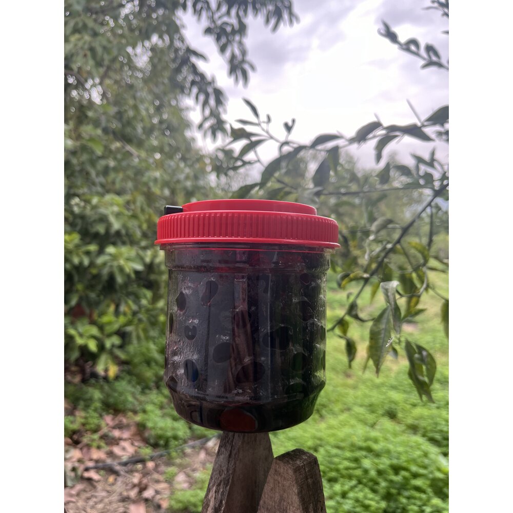 Siyah zeytin (600 gr)