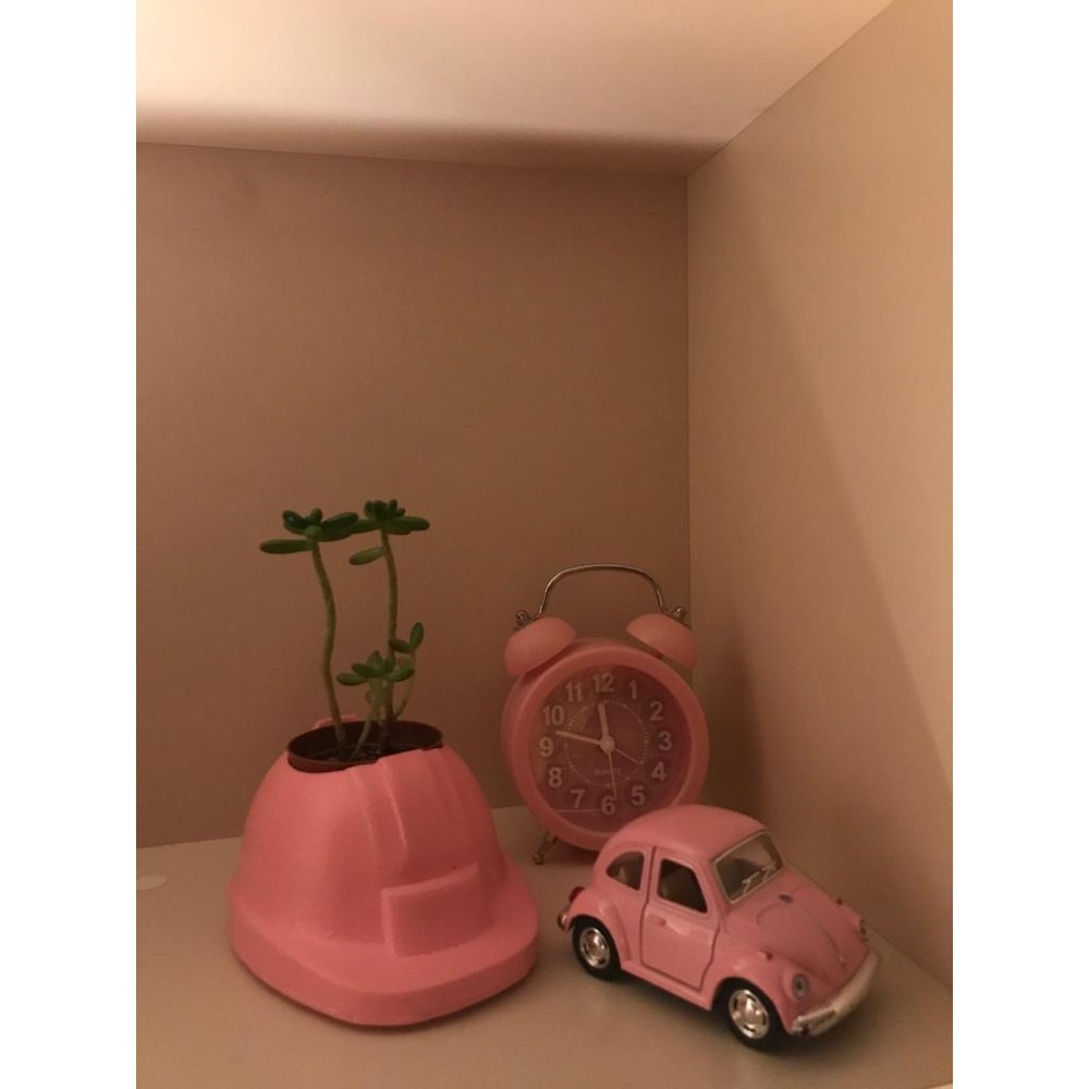 Baretüs | Pembe 