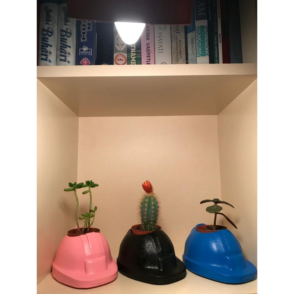 Baretüs | Pembe 