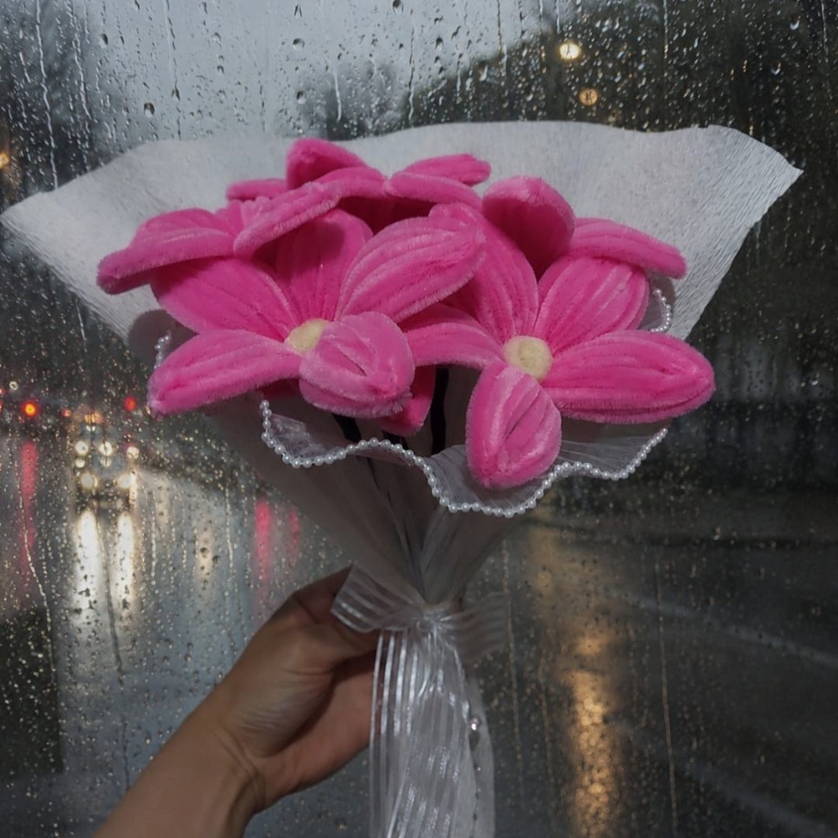 Ceren'in Pembe Rüyası