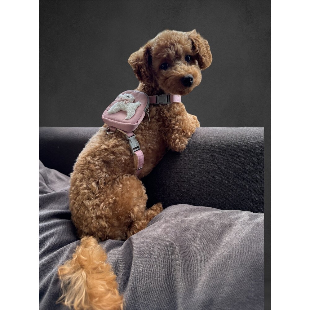 Luna Köpek Çantası 