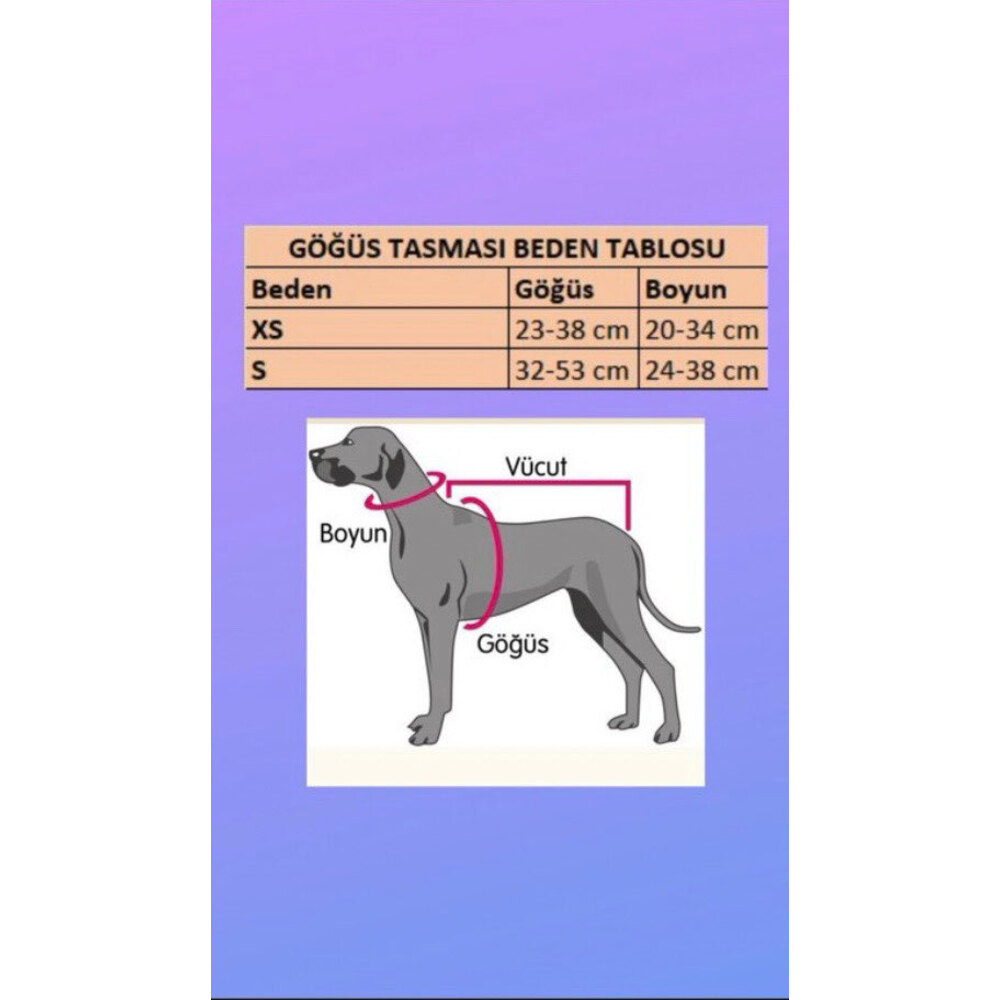 Venüs Göğüs Tasması