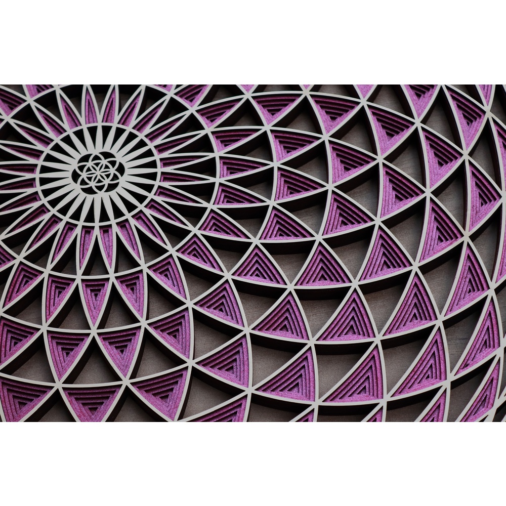 Torus Yantra Lila 