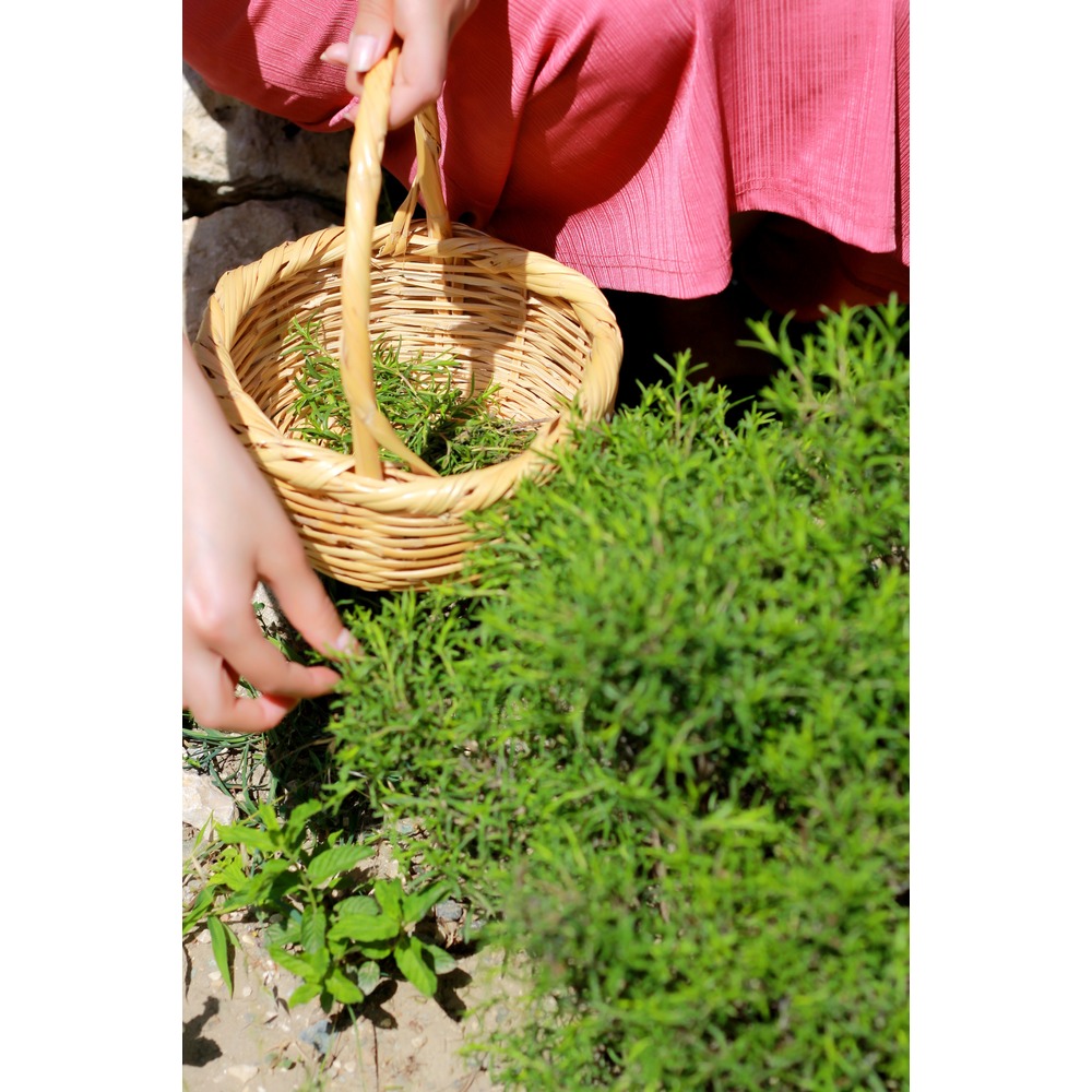 Zeytinyağlı Kekik 700g