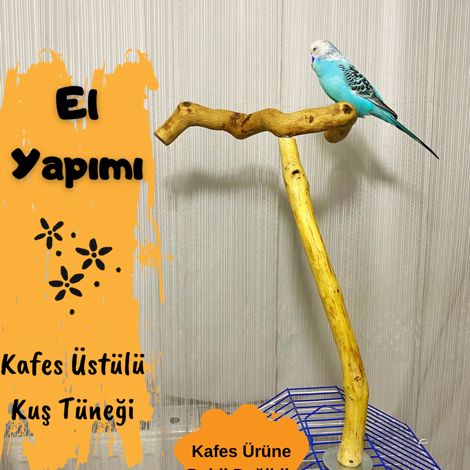 Kafes Üstülü Kuş Tüneği | cikokafes