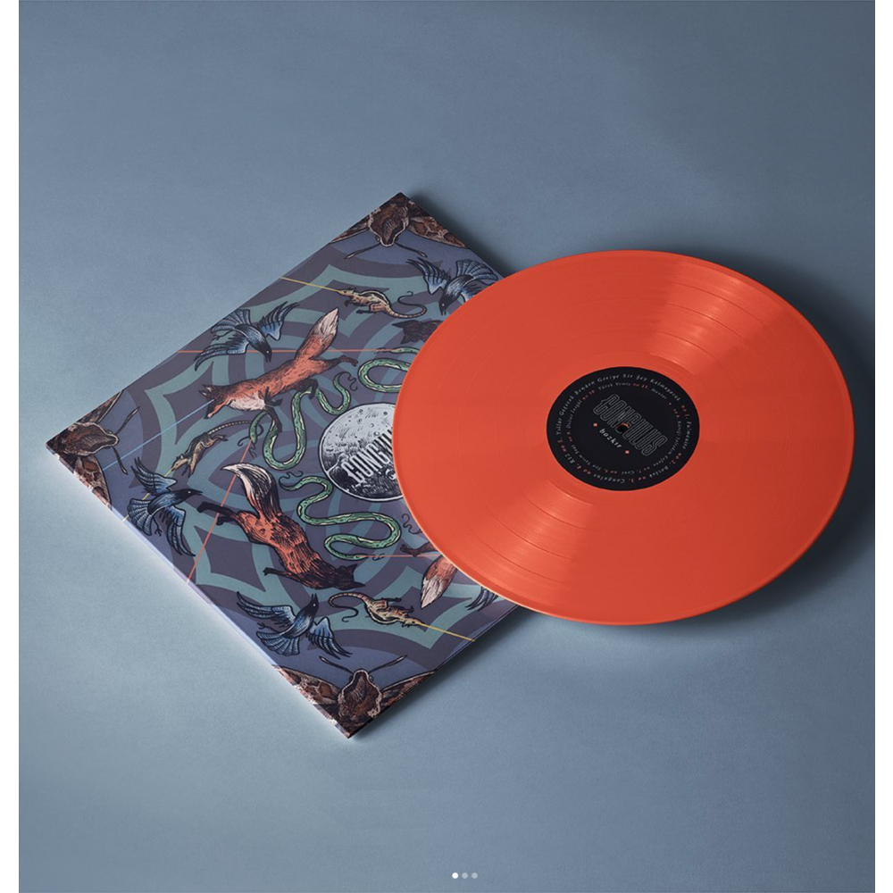 Congulus - Bozkır Double LP Limited Edition 180 gr. Vinyl