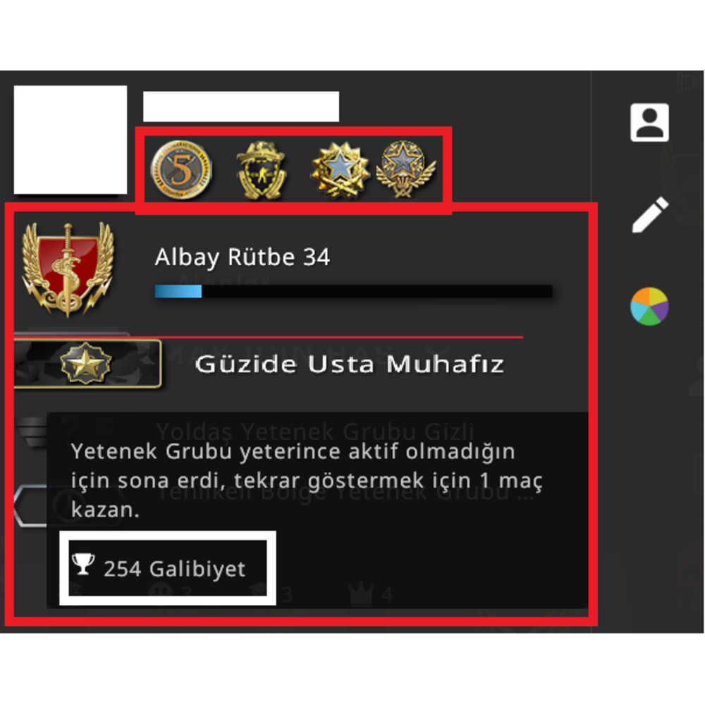 60 TL SKİN  DMG 4 MADALYA 254 WİN İLK MAİL FACEİT