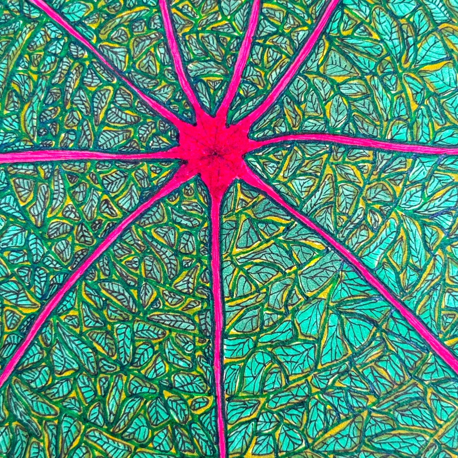 A Leaf