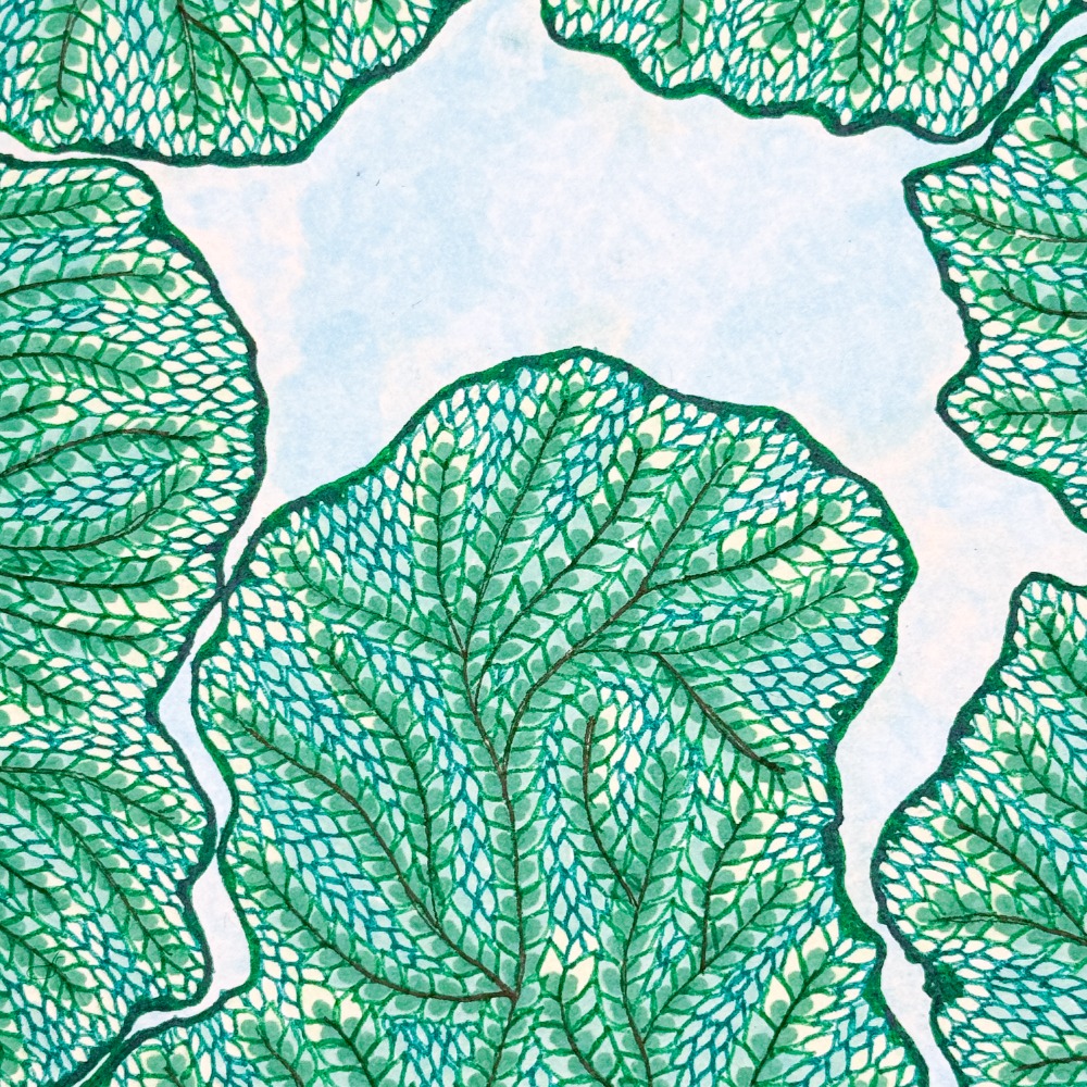 Crown Shyness