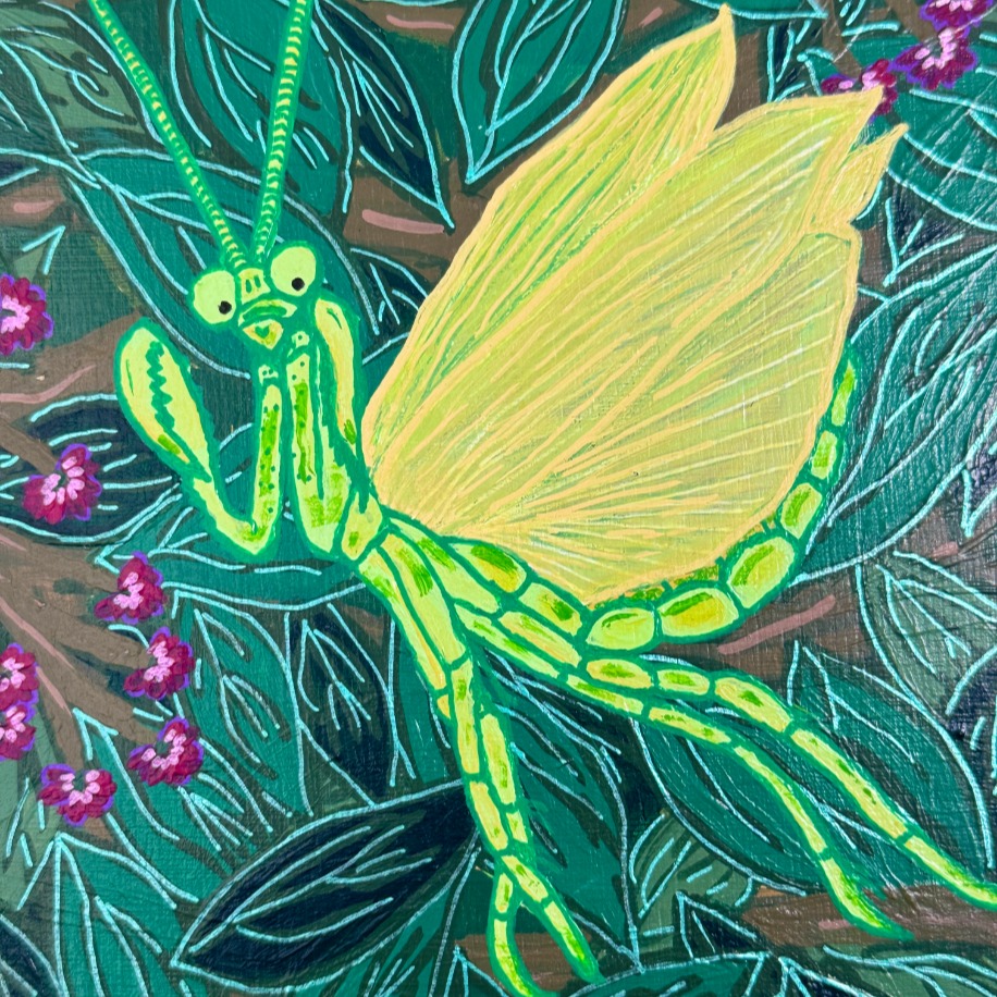 Mantis