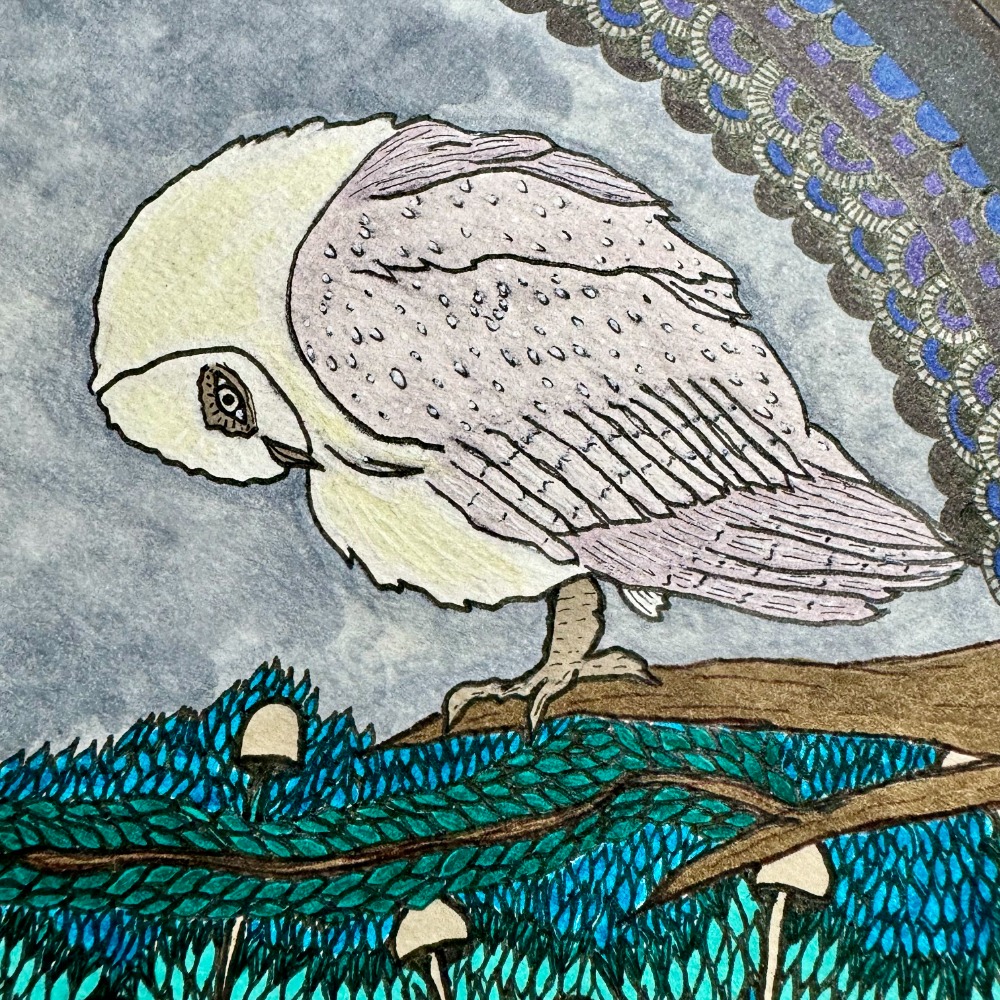 The Owl