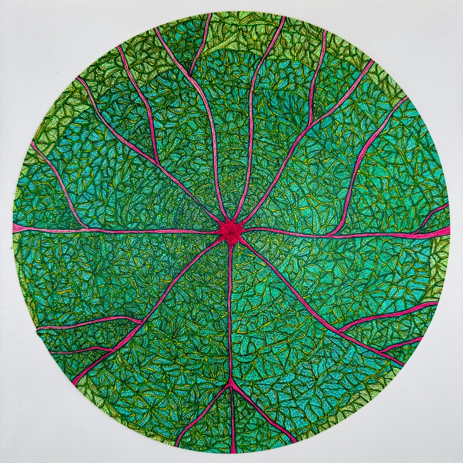 A Leaf