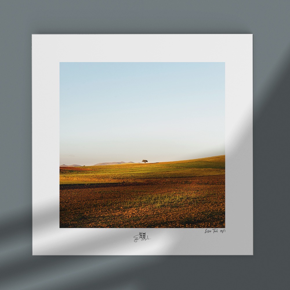 Tek Ağaç 2 (30x30 cm)