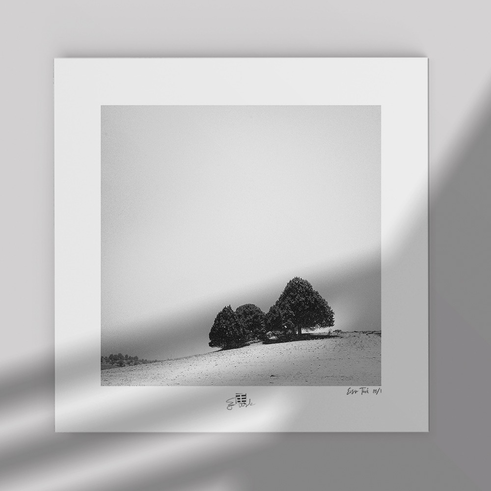 Karlı Ağaçlar (30x30 cm)