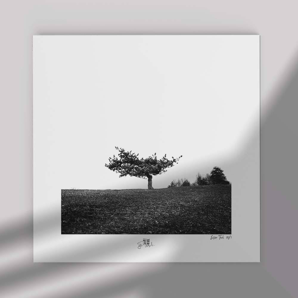 Tek Ağaç 3 (30x30 cm)