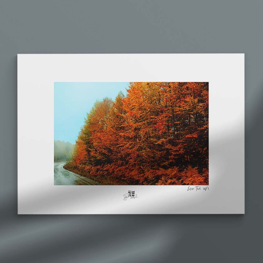 Sonbahar Ağaçları (30x45 cm)