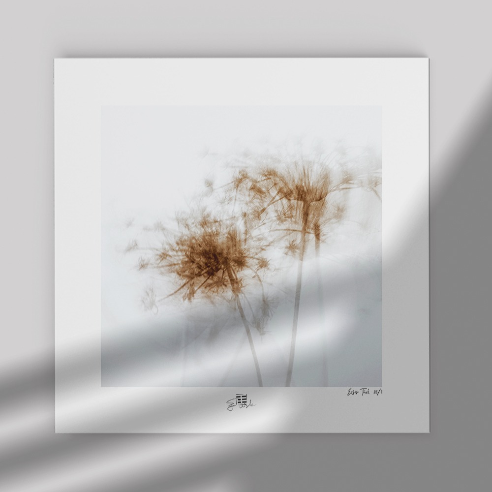 Untitled (30x30 cm)