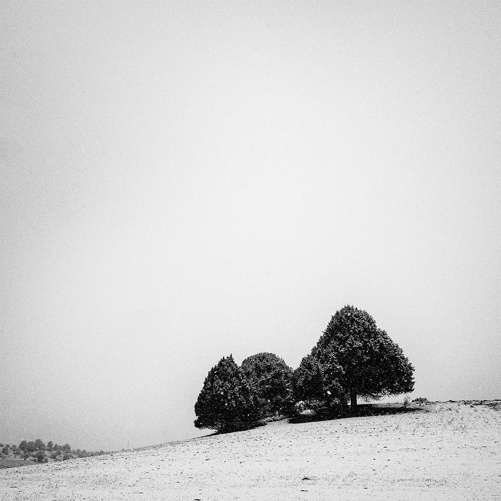 Karlı Ağaçlar (30x30 cm)