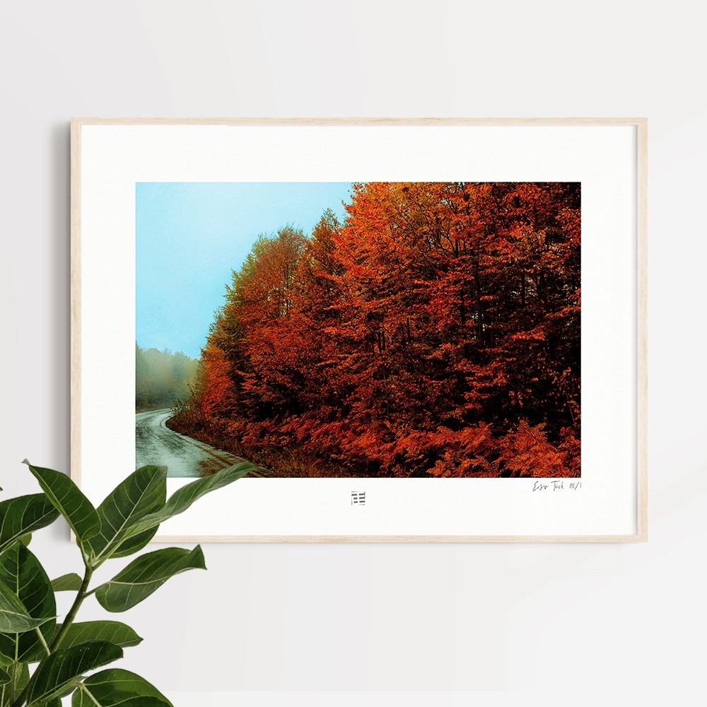 Sonbahar Ağaçları (30x45 cm)