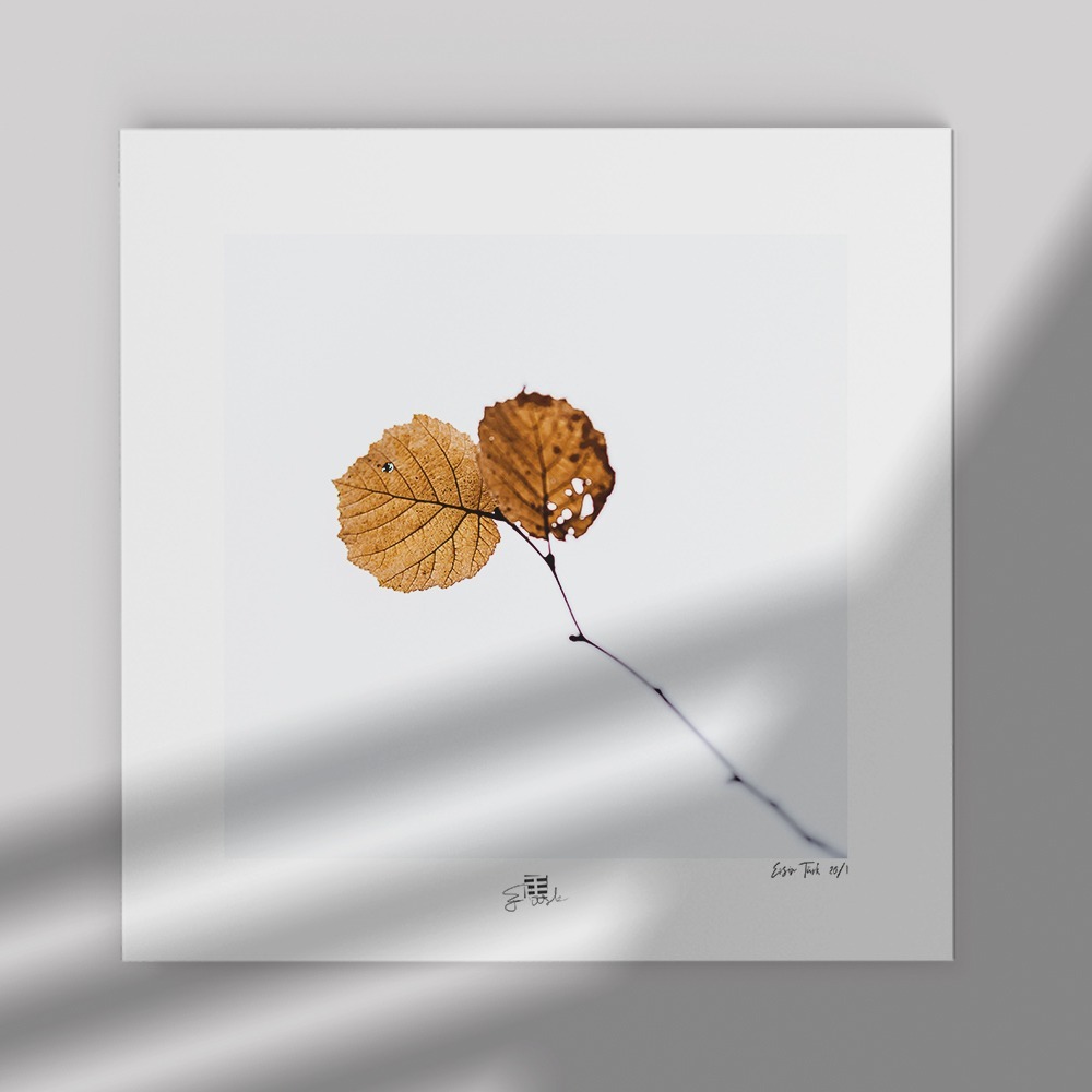 Yapraklar (30x30 cm)