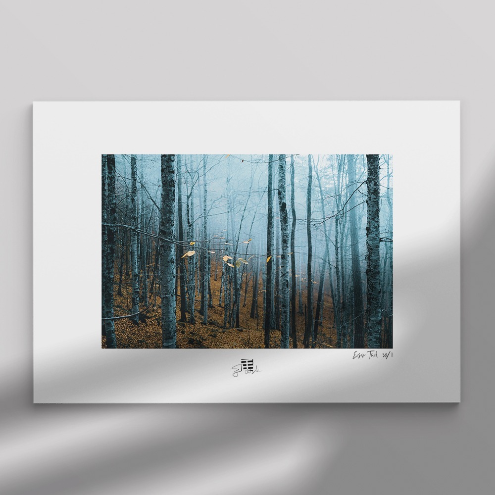 Sonbahar Yaprakları 3 (30x45 cm)