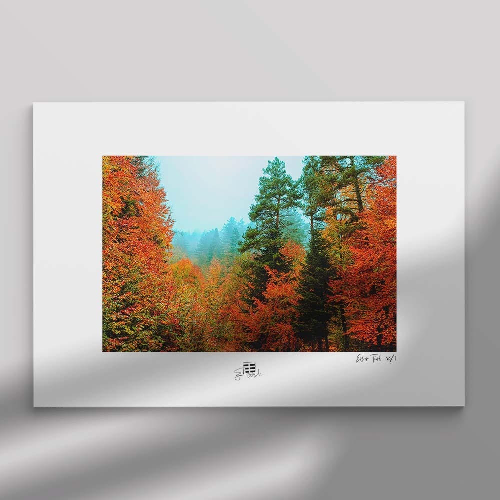 Sonbahar Ağaçları 2 (30x45 cm)