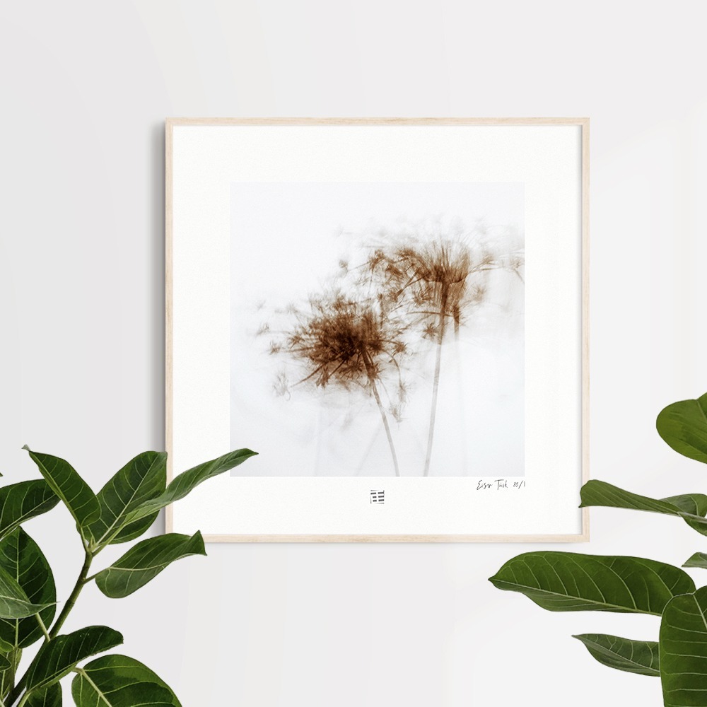 Untitled (30x30 cm)