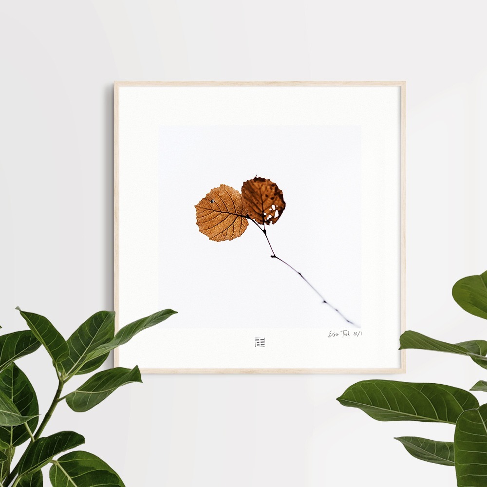 Yapraklar (30x30 cm)
