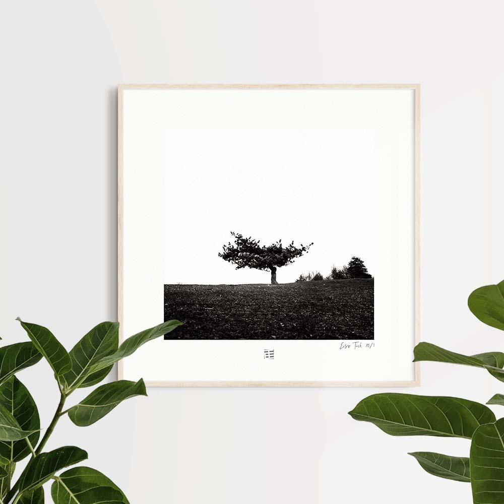 Tek Ağaç 3 (30x30 cm)